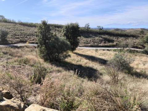 TERRENO COM 13480 M² - COM POÇO - TERRAÇO - DEPÓSITO DE ÁGUA - PERO VAZ - AZINHAL - CASTRO MARIM - ALGARVE