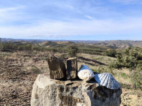 TERRENO COM 13480 M² - COM POÇO - TERRAÇO - DEPÓSITO DE ÁGUA - PERO VAZ - AZINHAL - CASTRO MARIM - ALGARVE