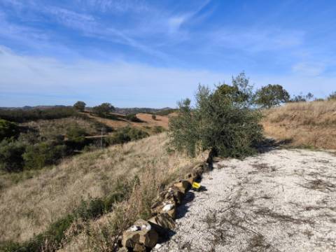 TERRENO COM 13480 M² - COM POÇO - TERRAÇO - DEPÓSITO DE ÁGUA - PERO VAZ - AZINHAL - CASTRO MARIM - ALGARVE