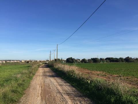Terreno com 7.760 m² perto da Praia de Manta Rota - Algarve