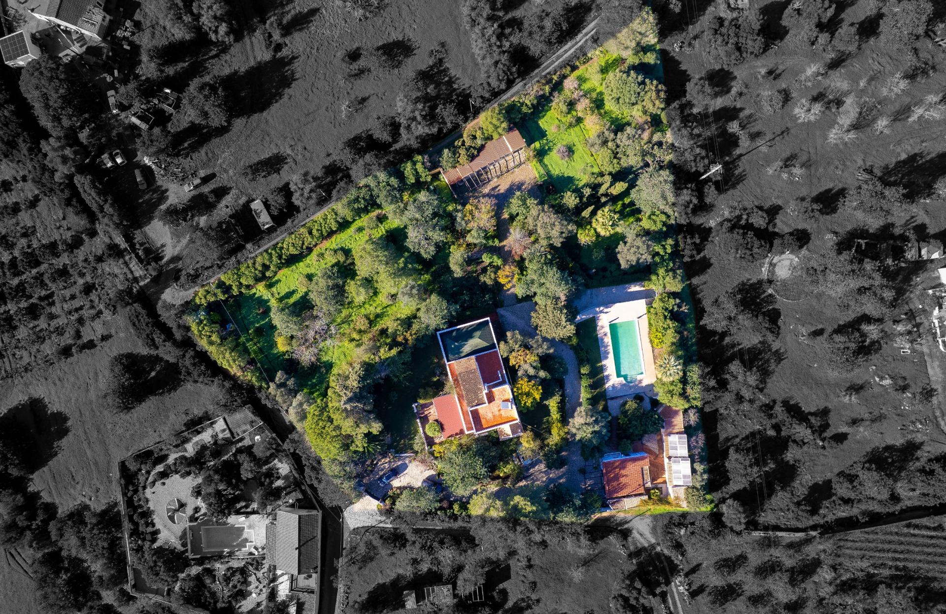 Quinta com 3 Casas + Piscina e Garagem | 6.040 m² - Moncarapacho
