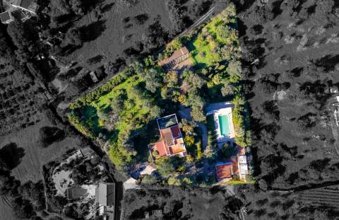 Quinta com 3 Casas + Piscina e Garagem | 6.040 m² - Moncarapacho
