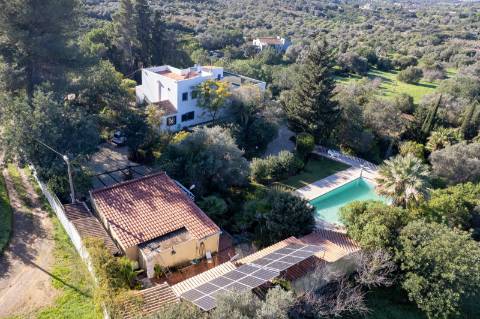 Quinta com 3 Casas + Piscina e Garagem | 6.040 m² - Moncarapacho
