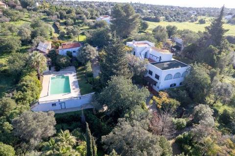 Quinta com 3 Casas + Piscina e Garagem | 6.040 m² - Moncarapacho
