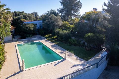 Quinta com 3 Casas + Piscina e Garagem | 6.040 m² - Moncarapacho
