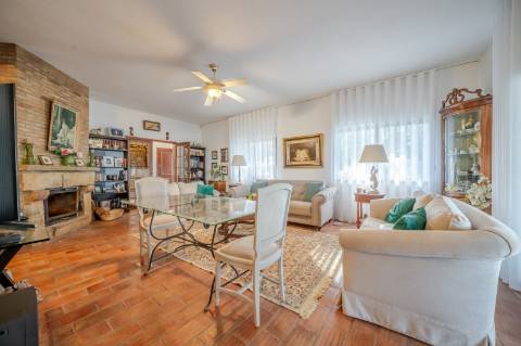 Quinta com 3 Casas + Piscina e Garagem | 6.040 m² - Moncarapacho
