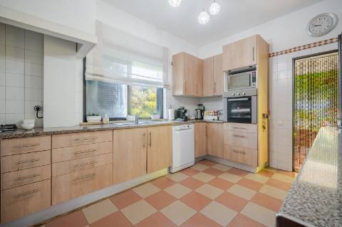 Quinta com 3 Casas + Piscina e Garagem | 6.040 m² - Moncarapacho
