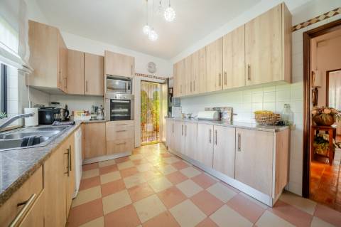 Quinta com 3 Casas + Piscina e Garagem | 6.040 m² - Moncarapacho
