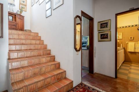 Quinta com 3 Casas + Piscina e Garagem | 6.040 m² - Moncarapacho
