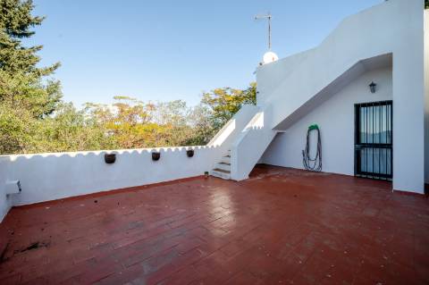 Quinta com 3 Casas + Piscina e Garagem | 6.040 m² - Moncarapacho
