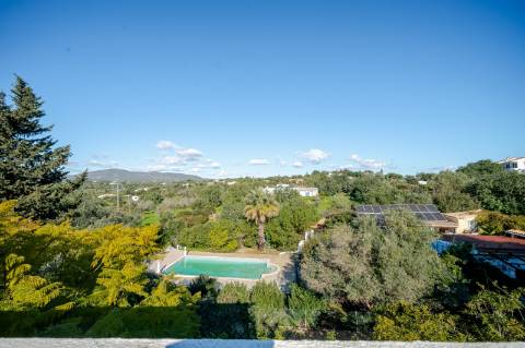 Quinta com 3 Casas + Piscina e Garagem | 6.040 m² - Moncarapacho
