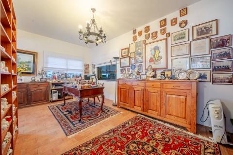 Quinta com 3 Casas + Piscina e Garagem | 6.040 m² - Moncarapacho
