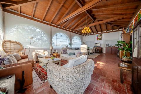 Quinta com 3 Casas + Piscina e Garagem | 6.040 m² - Moncarapacho
