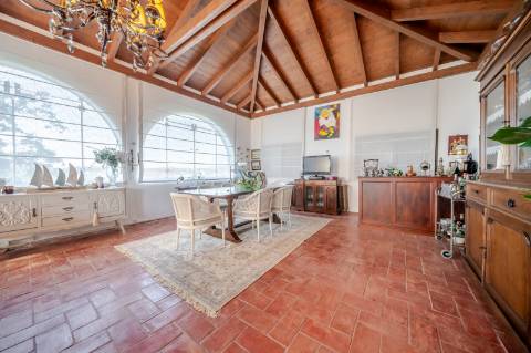 Quinta com 3 Casas + Piscina e Garagem | 6.040 m² - Moncarapacho
