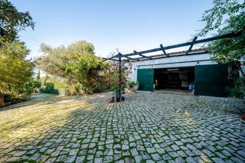 Quinta com 3 Casas + Piscina e Garagem | 6.040 m² - Moncarapacho
