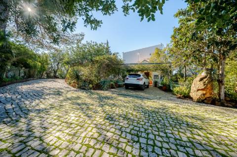 Quinta com 3 Casas + Piscina e Garagem | 6.040 m² - Moncarapacho
