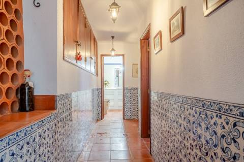 Quinta com 3 Casas + Piscina e Garagem | 6.040 m² - Moncarapacho
