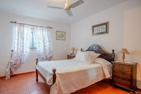 Quinta com 3 Casas + Piscina e Garagem | 6.040 m² - Moncarapacho
