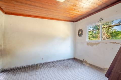 Quinta com 3 Casas + Piscina e Garagem | 6.040 m² - Moncarapacho
