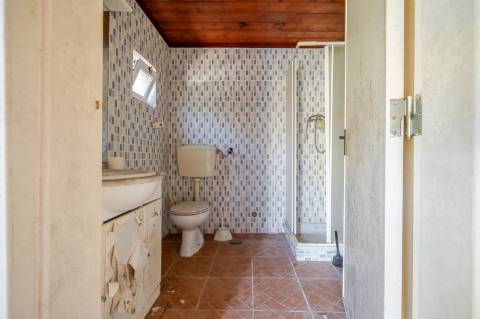 Quinta com 3 Casas + Piscina e Garagem | 6.040 m² - Moncarapacho
