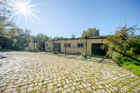 Quinta com 3 Casas + Piscina e Garagem | 6.040 m² - Moncarapacho
