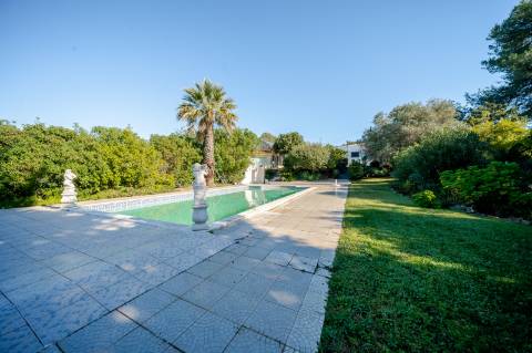 Quinta com 3 Casas + Piscina e Garagem | 6.040 m² - Moncarapacho
