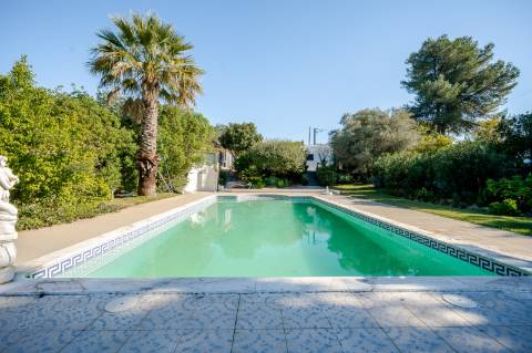 Quinta com 3 Casas + Piscina e Garagem | 6.040 m² - Moncarapacho
