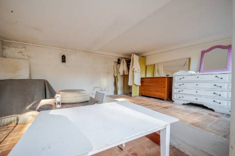 Quinta com 3 Casas + Piscina e Garagem | 6.040 m² - Moncarapacho
