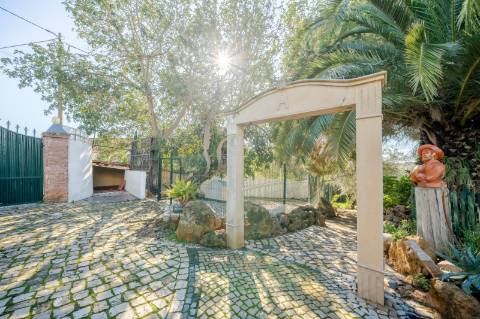 Quinta com 3 Casas + Piscina e Garagem | 6.040 m² - Moncarapacho
