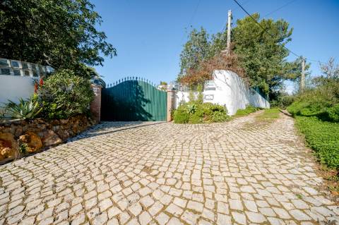 Quinta com 3 Casas + Piscina e Garagem | 6.040 m² - Moncarapacho
