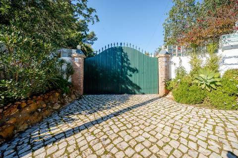 Quinta com 3 Casas + Piscina e Garagem | 6.040 m² - Moncarapacho
