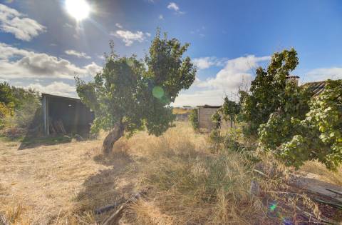 Quinta com moradia e armazéns e terreno de 5.450m2