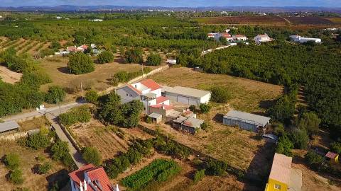 Quinta com moradia e armazéns e terreno de 5.450m2