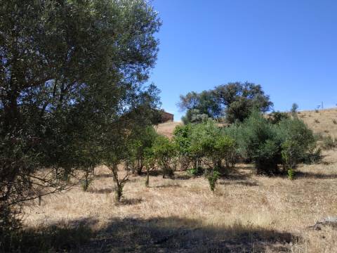 MORADIA ISOLADA COM 18.240 M2 DE TERRENO COM ÁRMAZEM PARA RECONSTRUIR - BELICHE - CASTRO MARIM - ALGARVE