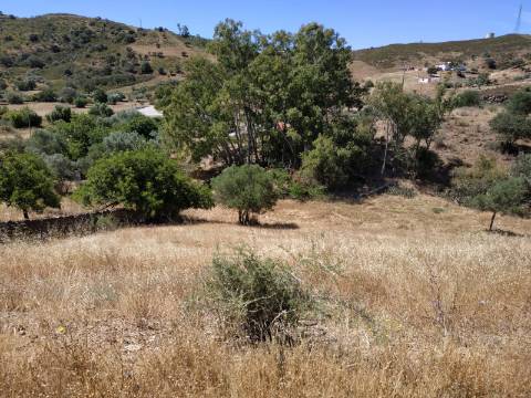 MORADIA ISOLADA COM 18.240 M2 DE TERRENO COM ÁRMAZEM PARA RECONSTRUIR - BELICHE - CASTRO MARIM - ALGARVE