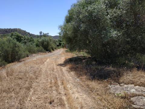 MORADIA ISOLADA COM 18.240 M2 DE TERRENO COM ÁRMAZEM PARA RECONSTRUIR - BELICHE - CASTRO MARIM - ALGARVE