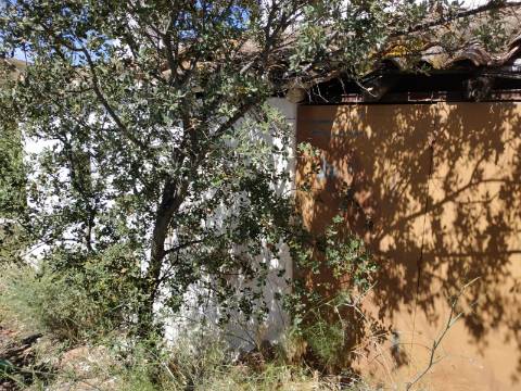 MORADIA ISOLADA COM 18.240 M2 DE TERRENO COM ÁRMAZEM PARA RECONSTRUIR - BELICHE - CASTRO MARIM - ALGARVE