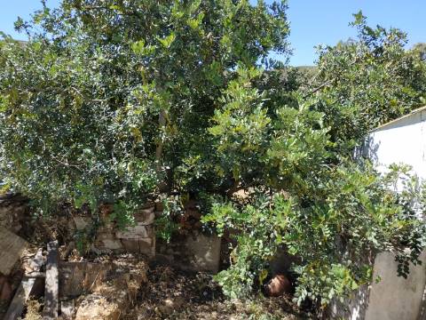 MORADIA ISOLADA COM 18.240 M2 DE TERRENO COM ÁRMAZEM PARA RECONSTRUIR - BELICHE - CASTRO MARIM - ALGARVE