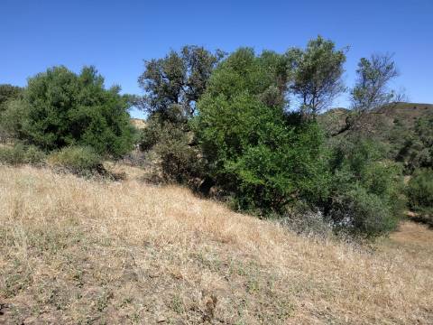 MORADIA ISOLADA COM 18.240 M2 DE TERRENO COM ÁRMAZEM PARA RECONSTRUIR - BELICHE - CASTRO MARIM - ALGARVE