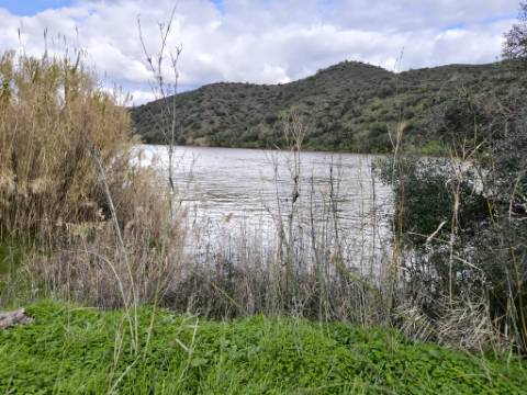 TERRENO COM 5.760 M² - COM FURO - ACESSO DIRETO À ÁGUA - JUNTO AO RIO GUADIANA - ALCOUTIM - ALGARVE