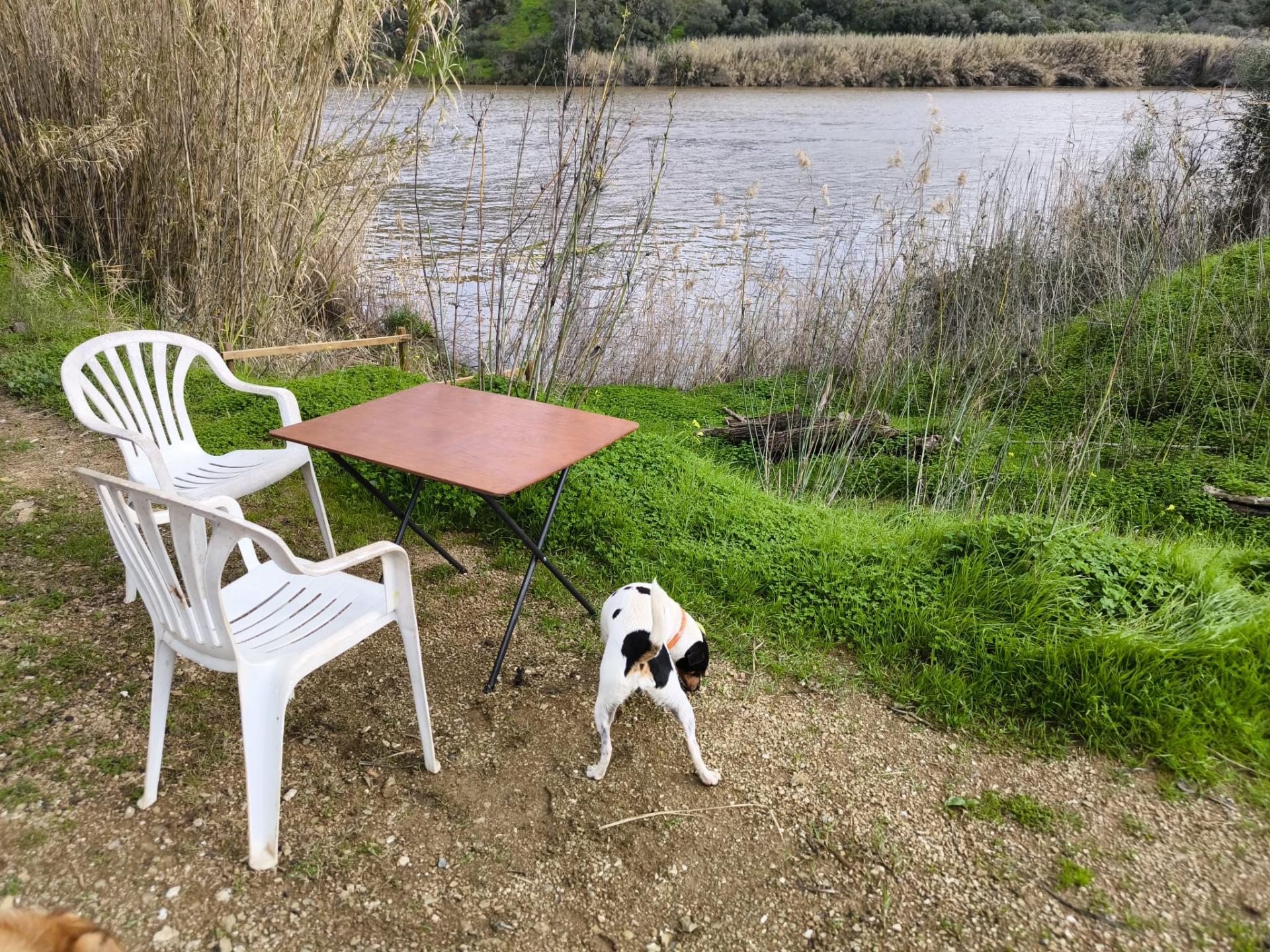 TERRENO COM 5.760 M² - COM FURO - ACESSO DIRETO À ÁGUA - JUNTO AO RIO GUADIANA - ALCOUTIM - ALGARVE