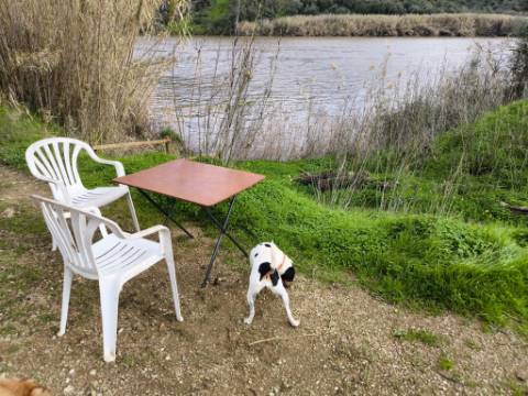 TERRENO COM 5.760 M² - COM FURO - ACESSO DIRETO À ÁGUA - JUNTO AO RIO GUADIANA - ALCOUTIM - ALGARVE