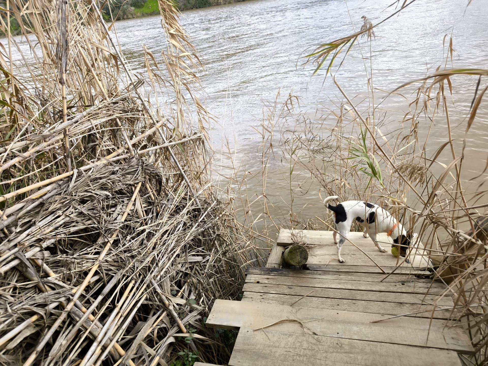 TERRENO COM 5.760 M² - COM FURO - ACESSO DIRETO À ÁGUA - JUNTO AO RIO GUADIANA - ALCOUTIM - ALGARVE