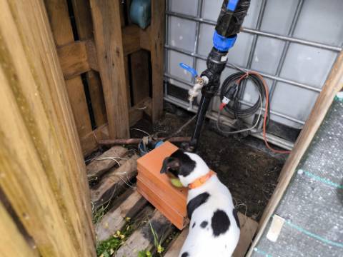 TERRENO COM 5.760 M² - COM FURO - ACESSO DIRETO À ÁGUA - JUNTO AO RIO GUADIANA - ALCOUTIM - ALGARVE