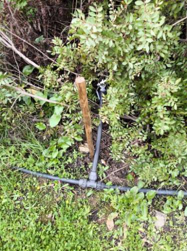 TERRENO COM 5.760 M² - COM FURO - ACESSO DIRETO À ÁGUA - JUNTO AO RIO GUADIANA - ALCOUTIM - ALGARVE