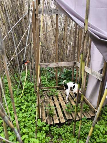 TERRENO COM 5.760 M² - COM FURO - ACESSO DIRETO À ÁGUA - JUNTO AO RIO GUADIANA - ALCOUTIM - ALGARVE