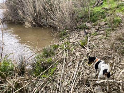 TERRENO COM 5.760 M² - COM FURO - ACESSO DIRETO À ÁGUA - JUNTO AO RIO GUADIANA - ALCOUTIM - ALGARVE