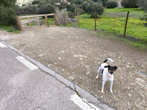 TERRENO COM 5.760 M² - COM FURO - ACESSO DIRETO À ÁGUA - JUNTO AO RIO GUADIANA - ALCOUTIM - ALGARVE