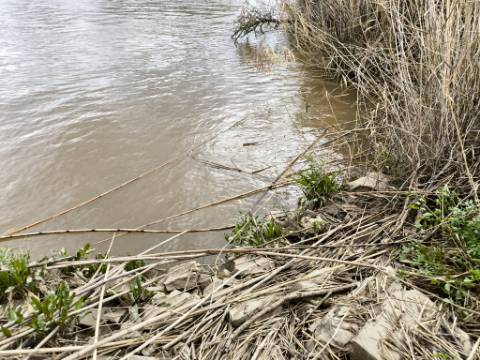 TERRENO COM 5.760 M² - COM FURO - ACESSO DIRETO À ÁGUA - JUNTO AO RIO GUADIANA - ALCOUTIM - ALGARVE