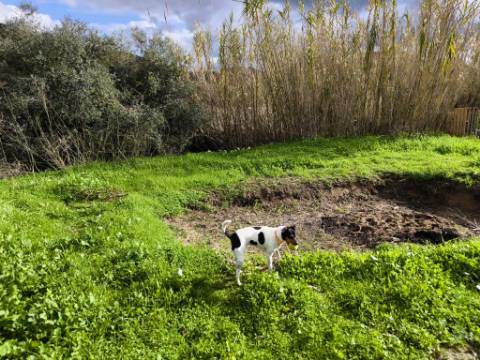 TERRENO COM 5.760 M² - COM FURO - ACESSO DIRETO À ÁGUA - JUNTO AO RIO GUADIANA - ALCOUTIM - ALGARVE